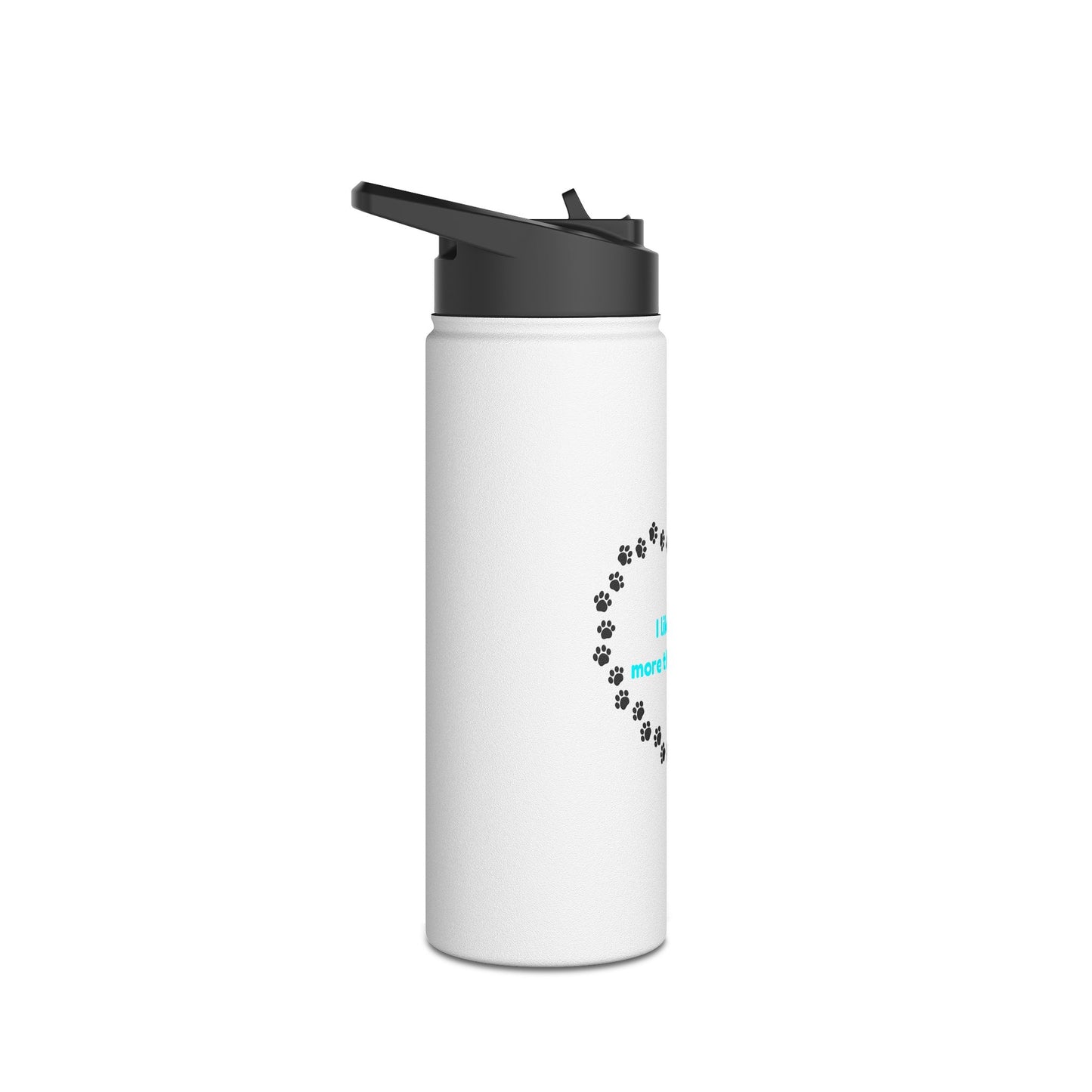 I Like Dogs More Than People Turquoise Stainless Steel Water Bottle, Standard Lid